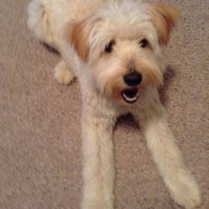 Meet your Posher, Danica